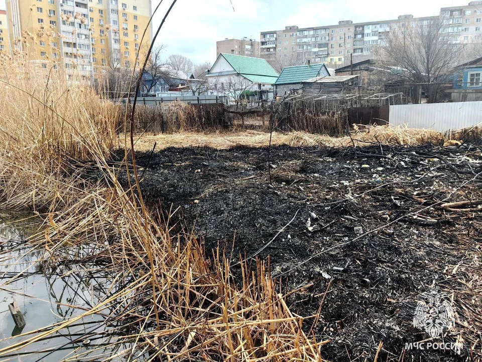 Фото: ГУ МЧС по Саратовской области