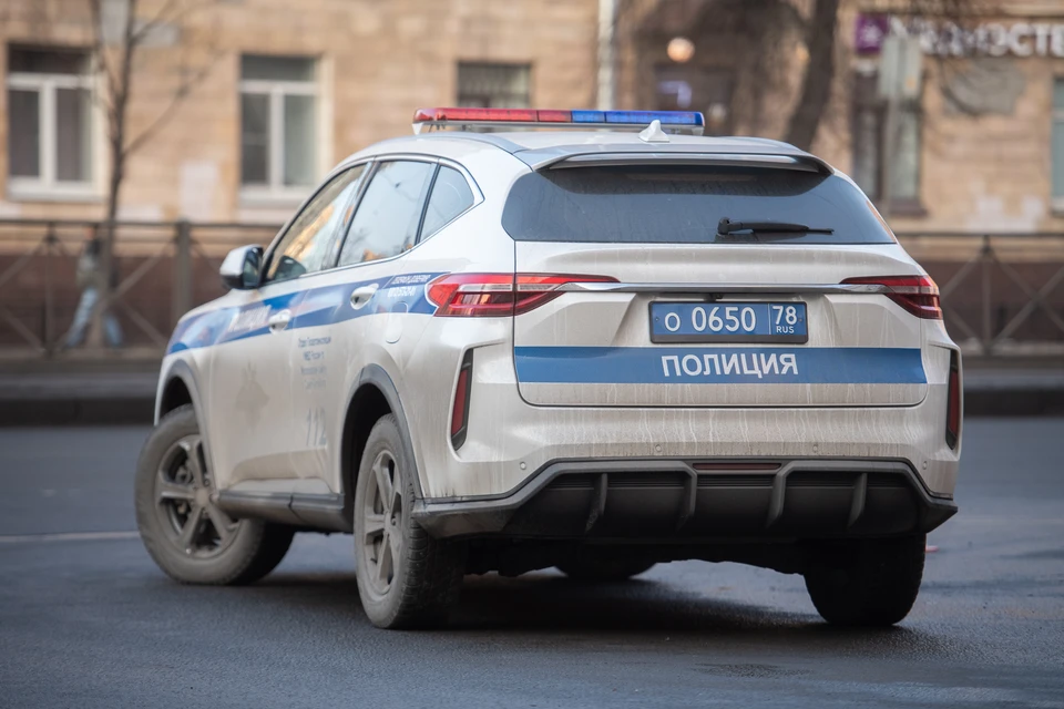 Правоохранители оперативно разыскали злоумышленника