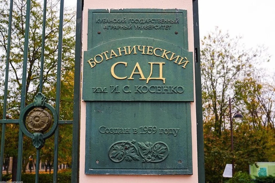 Ботанический сад закроют на один день Фото: МЦУ Краснодара