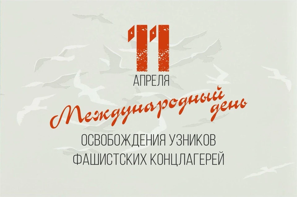 Международный день освобождения узников фашистских концлагерей отмечают 11 апреля во всем мире Фото: admkrai.krasnodar.ru