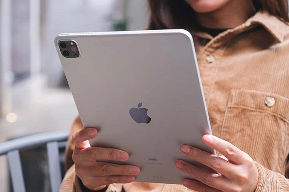 В Британии мать посадили в СИЗО за то, что она забрала iPad у своих детей