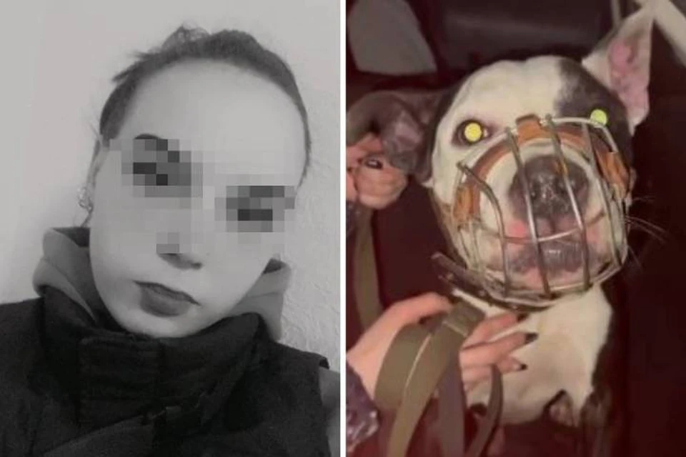22-летняя Дарья долгое время издевалась над собакой, пока ее не забрали волонтеры. Фото: соцсети.