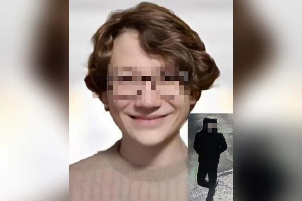 Пропавшего две недели назад в Новосибирской области 14-летнего школьника нашли погибшим. Фото: «ЛизаАлерт»