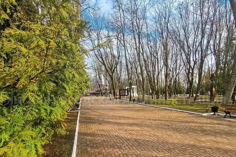 Фото: пресс-служба Брянской городской администрации.