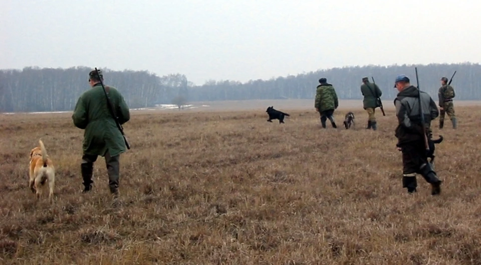 В ведомстве рассказали, что мужчины нанесли животному миру ущерб в размере 960 тысяч рублей.