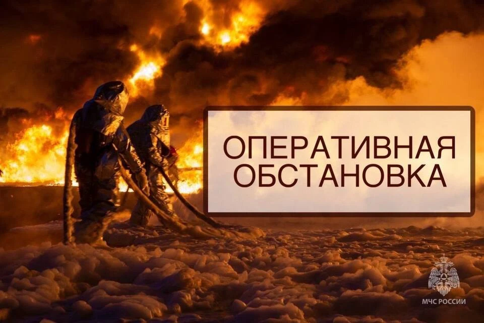 Более трети из пожаров – горение сухой травы. Фото: МЧС Тверской области.