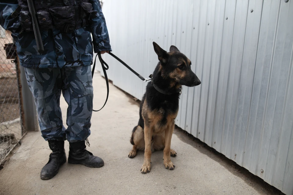 Здания обследуют на наличие взрывоопасных предметов.