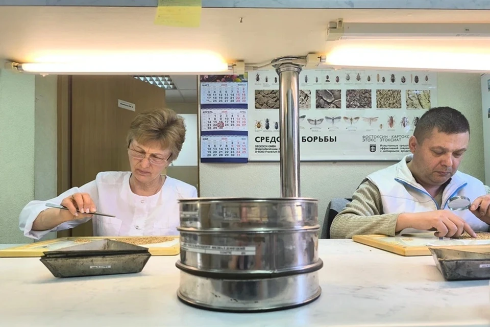 В «Россельхозцентре» рассказали, как проверяют качество продуктов в ДНР. Фото: Россельхозцентр ДНР