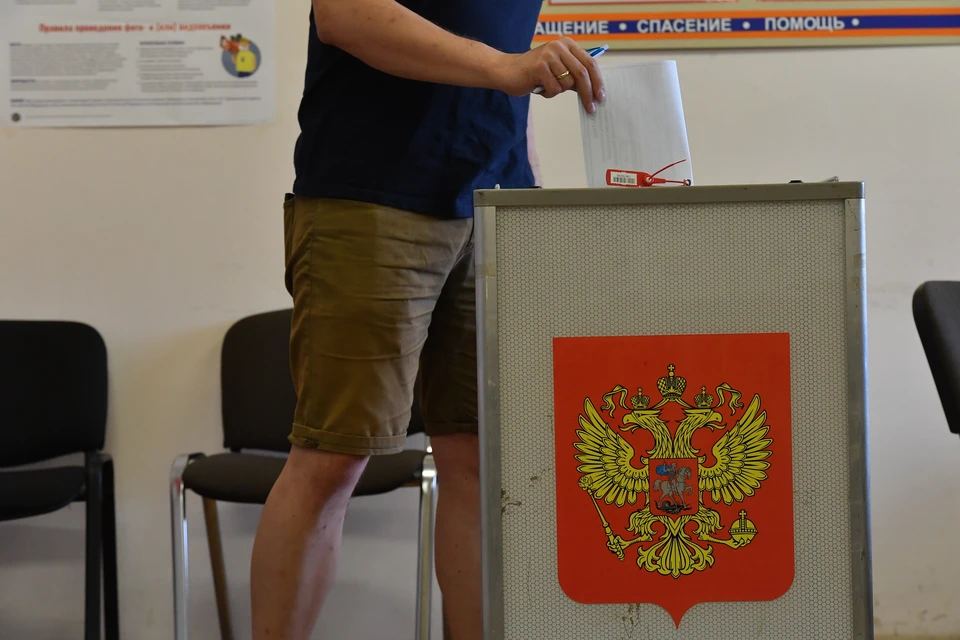 Теперь голосование за депутатов Госдумы в Воронежской области пройдет в трех избирательных округах.