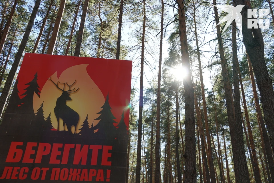 Семь пожаров в лесах Рязанской области случилось за неделю по вине людей.
