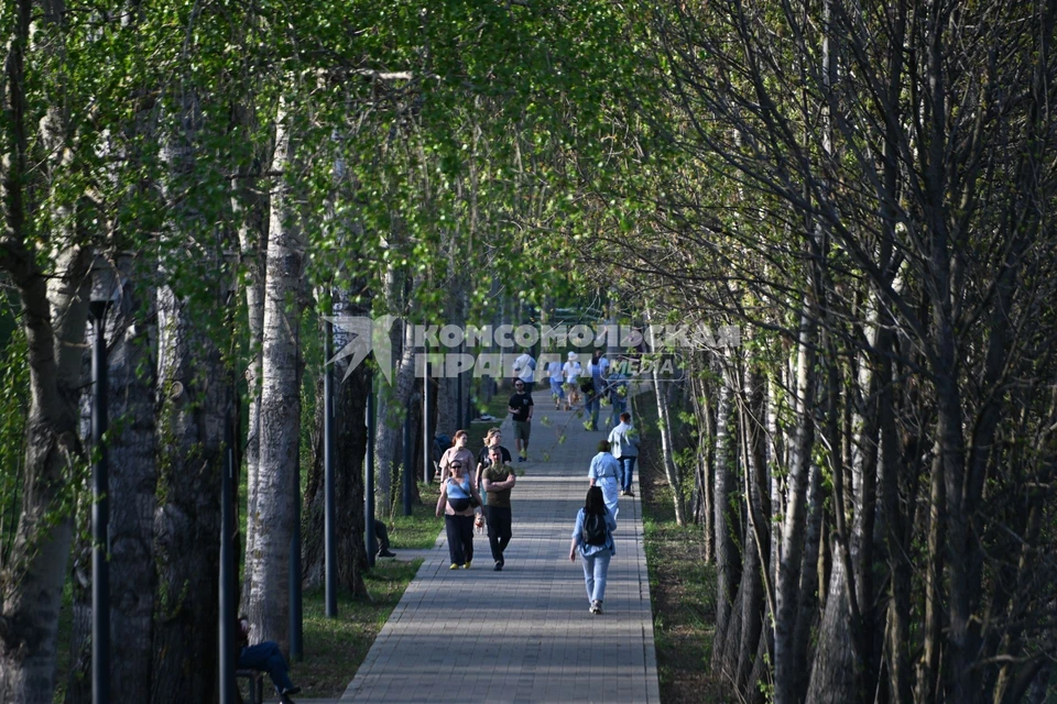 Во Владивостоке небольшая облачность, без осадков.