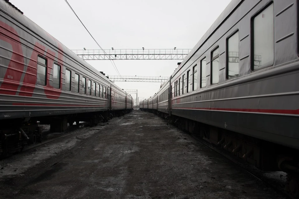 Подробное расписание пригородных поездов можно узнать на официальном сайте.