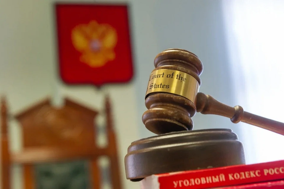 Сибирячку приговорили к 12 годам лишения свободы за госизмену.