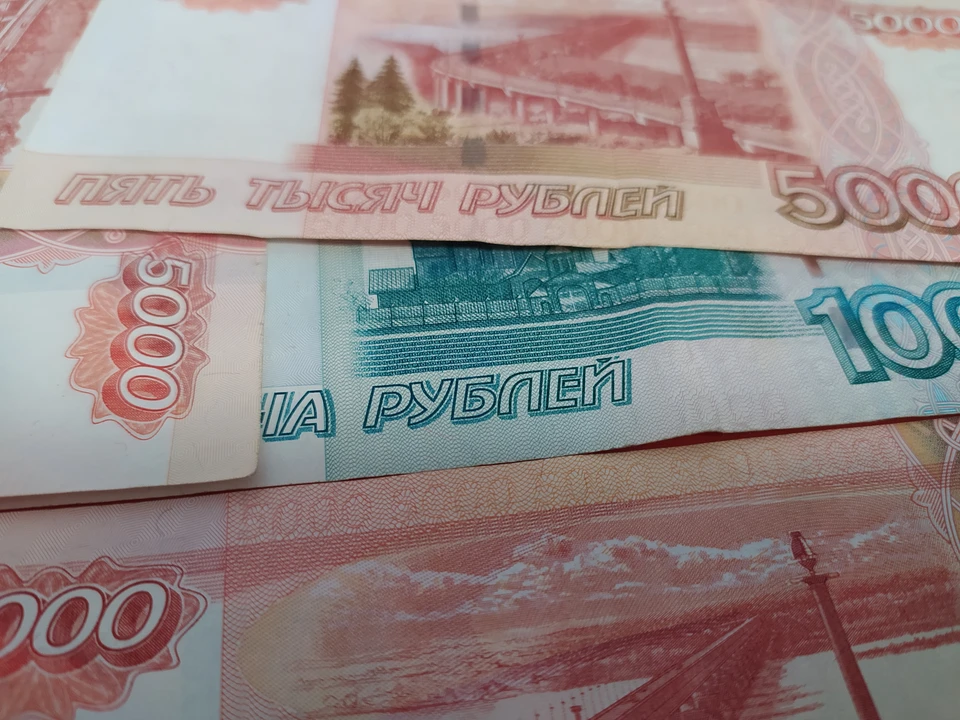 Блогер Nixelpixel* задолжала ФНС почти 150 тысяч рублей