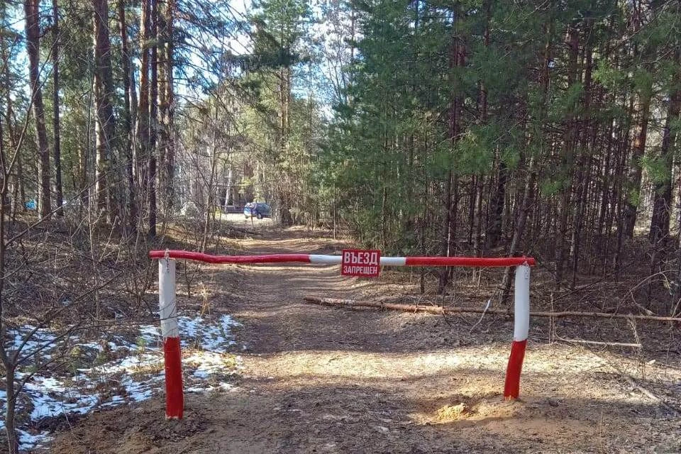При особом противопожарном режиме ограничено посещение лесов и запрещено разведение огня. Фото: администрация Рязани.