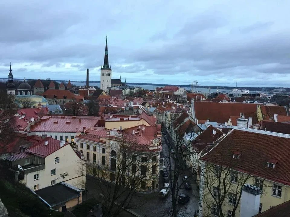 Эстонский депутат Хельме назвал недопустимым отправку войск на Украину