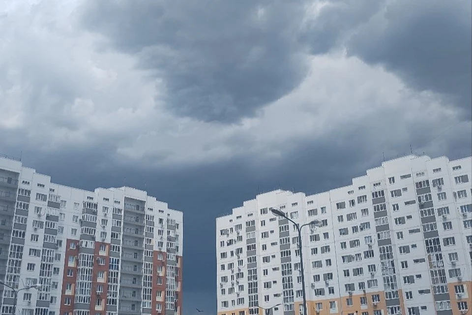 Порывы до 15-18 метров в секунду прогнозируются местами по области.