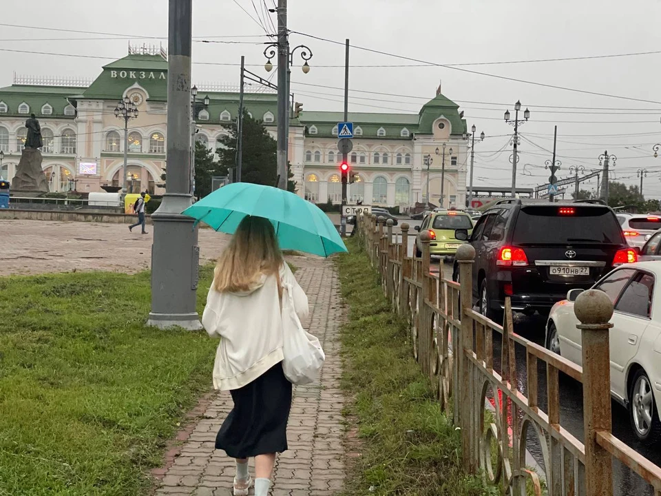 Мокрый снег и сильные дожди пройдут в Хабаровском крае 3 мая