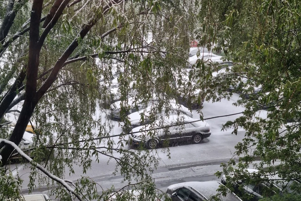 В столице выпал снег