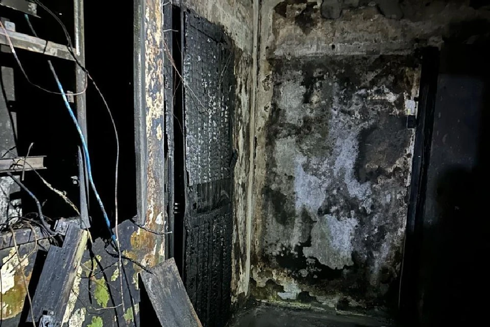 Два человека надышались дымом, их увезли в больницу в тяжелом состоянии. Фото: пресс-служба ГУ МВД по СПб и ЛО