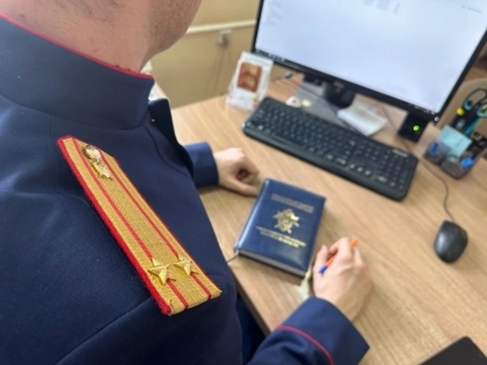 Фото СУ СК РФ по Курской области