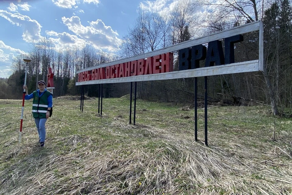 Окрестности озера Долосец в Осташковском округе. Фото: Росреестр Тверской области.