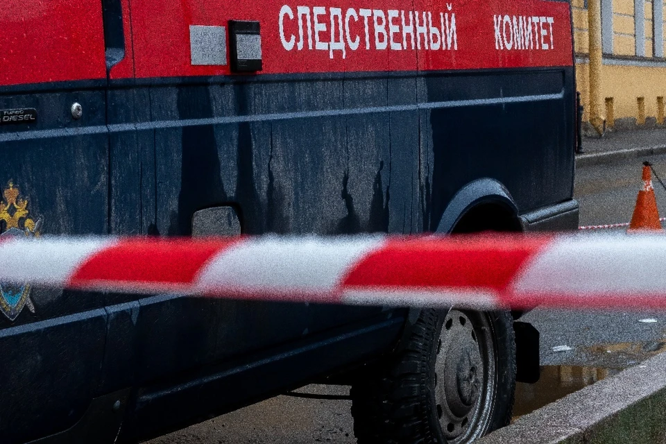 Бастрыкин заступился за двоих детей, избитых толпой в Новосибирске