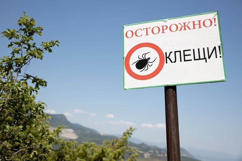 В апреле на территории региона восемь человек заразились крымской геморрагической лихорадкой