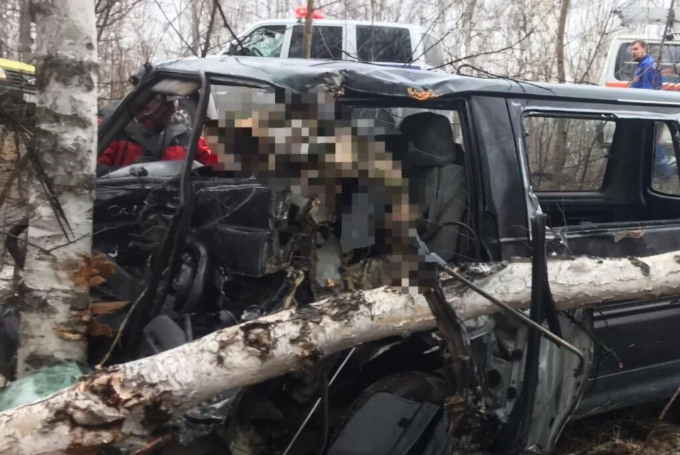 Виновник ДТП всю ночь пил в машине рядом с телом погибшего, а потом скрылся. Фото: Госавтоинспекция Камчатского края.
