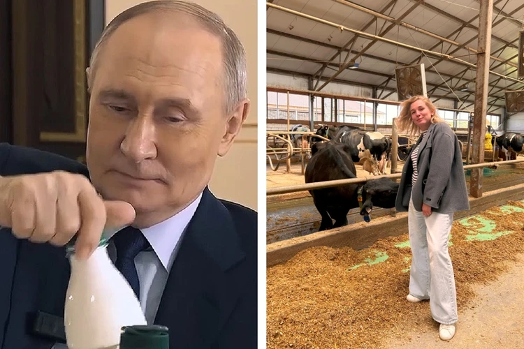 Звездный час молочного предприятия: журналисты выяснили, как делают любимый кефир Владимира Путина