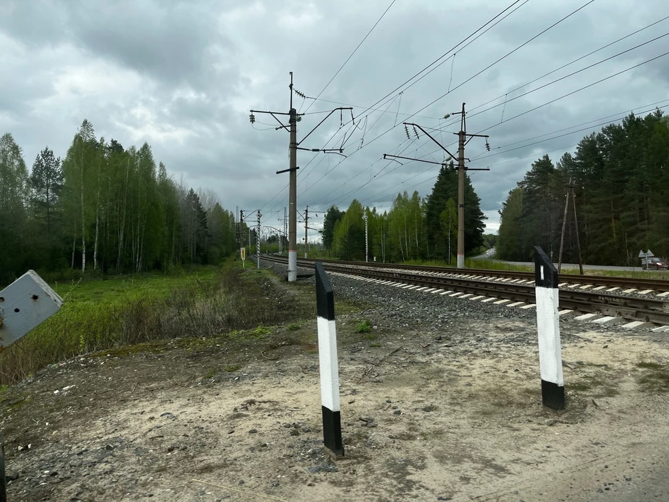 Источник: фотоархив "КП в Костроме"