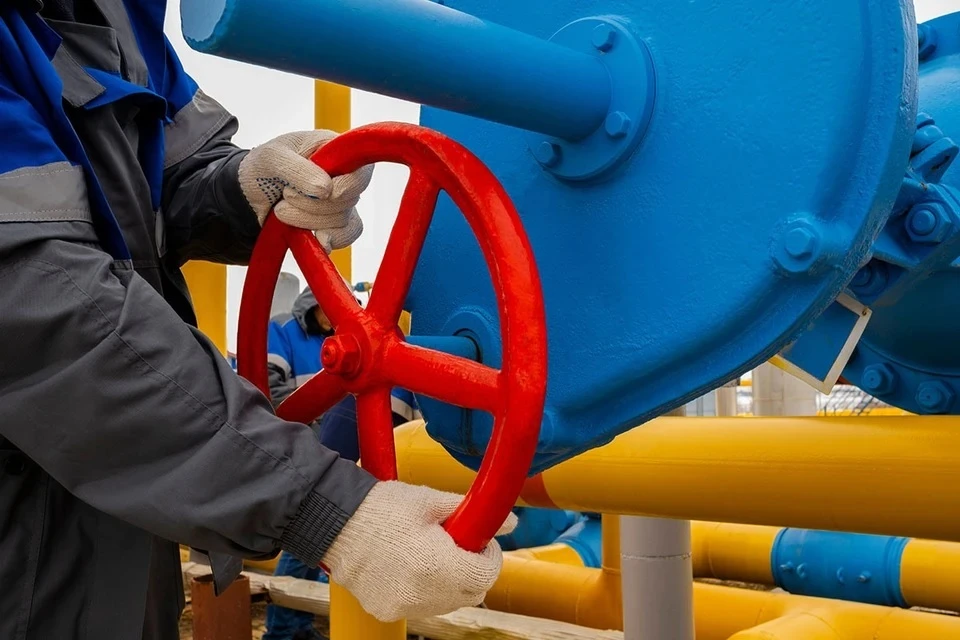 Путин и Си Цзиньпин поручили ускорить реализацию газопровода «Сила Сибири-2»