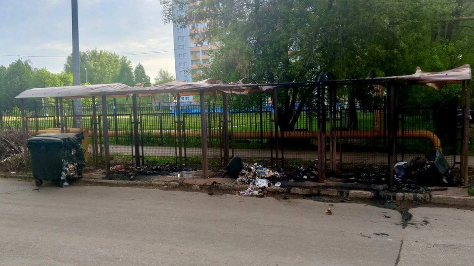 Поджигателей сейчас ищут. Фото: Минприроды Самарской области