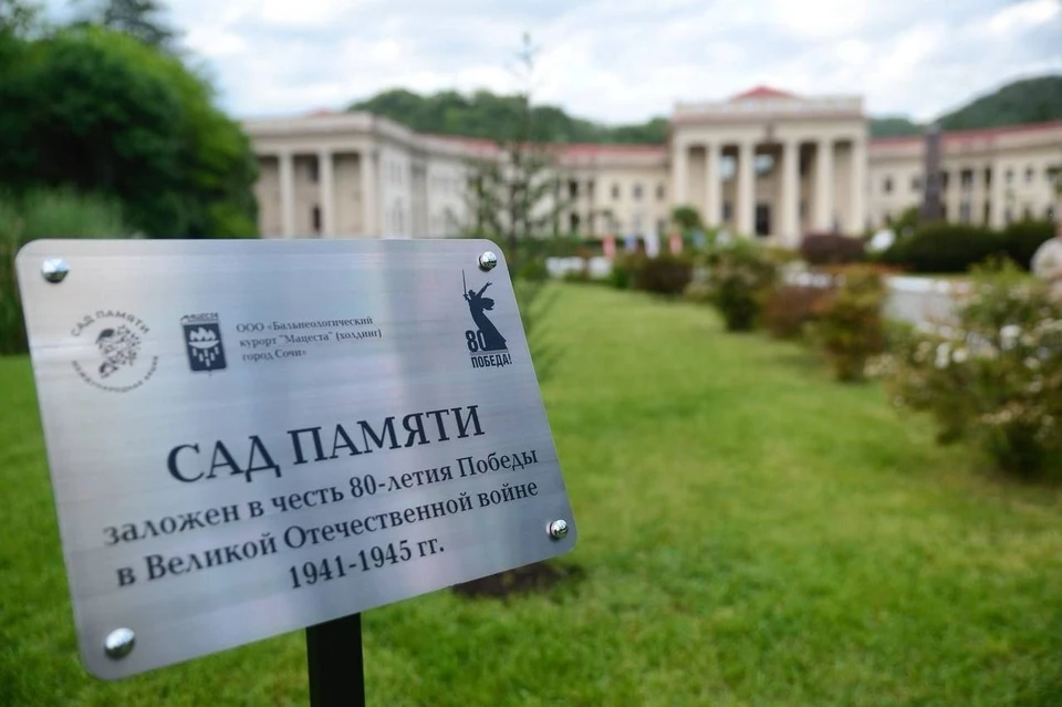 В Сочи прошла акция «Сад Памяти». Фото: пресс-служба мэрии города