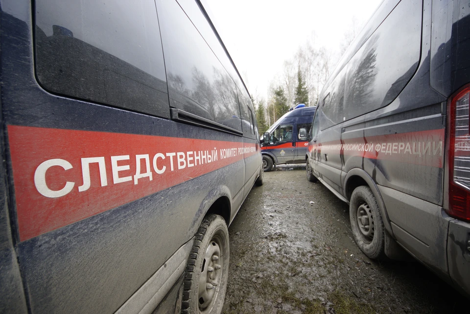 Бастрыкин поручил возбудить дело из-за осквернения памятника Воину-освободителю Таллина от фашистов