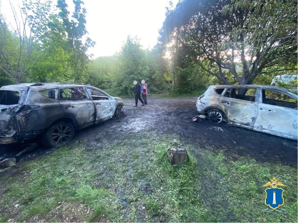 Конфликт двух дачников завершился поджогом автомобилей | ФОТО: УМВД России по Ульяновской области