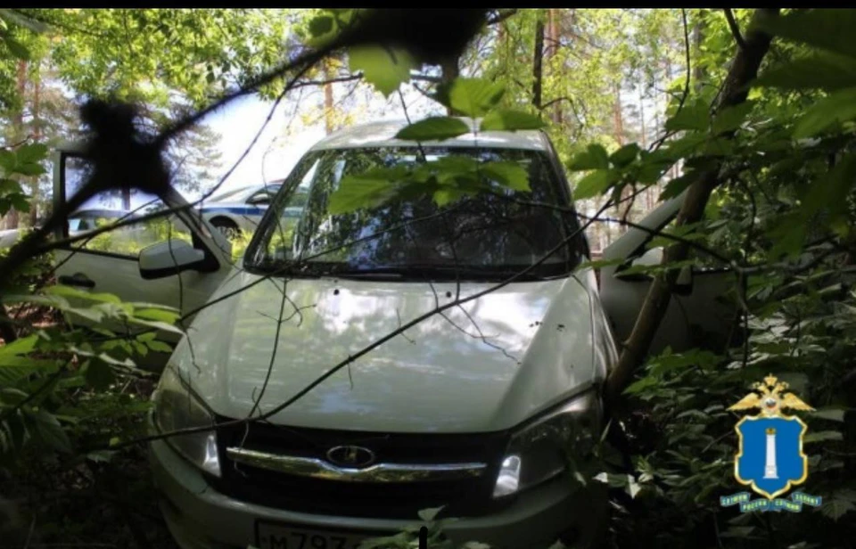 В Димитровграде пьяный ульяновец угнал чужой автомобиль и попал на нем в ДТП | ФОТО: УМВД России по Ульяновской области