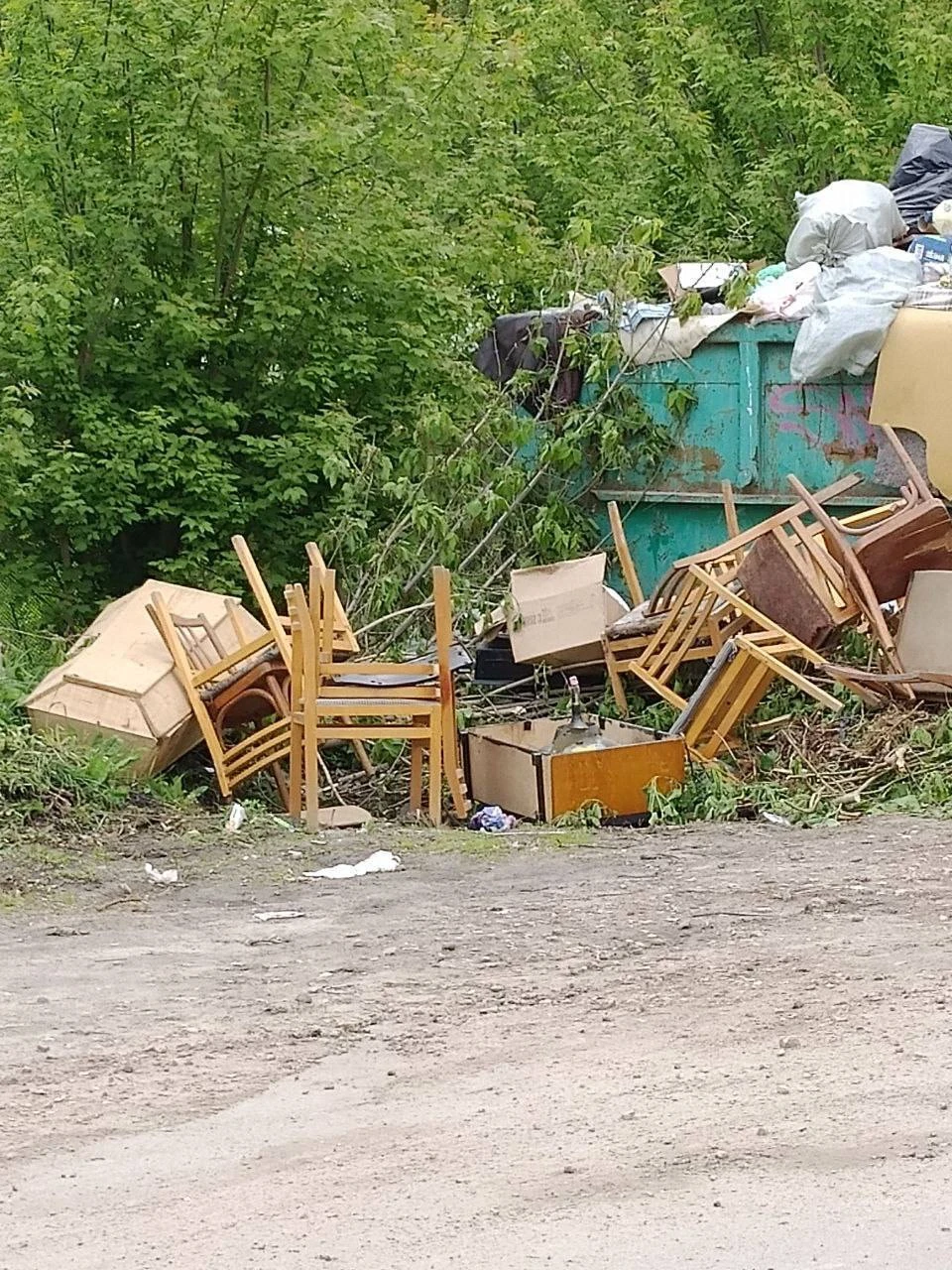 В Городце на помойку выбросили гроб. Фото: тг-канал Александра Мудрова