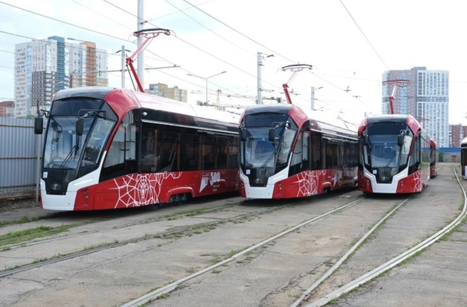 Всего в 2025 году привезут 40 новых «Львят». Фото: vk.com/pkts_official
