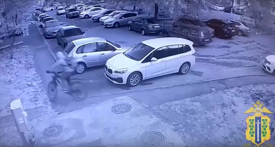 Подозреваемым оказался 34-летний горожанин. Скриншот видео УМВД России по Липецкой области.