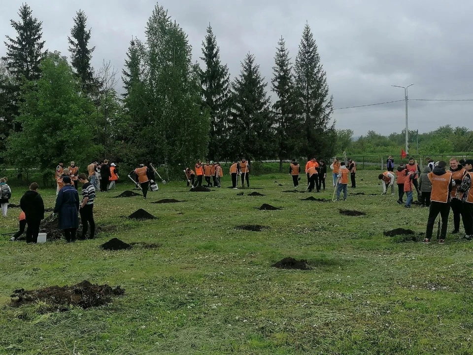 На территории школьного парка в Вальдиватском Карсунского района посадили 30 яблонь. Фото группа ВК администрации Валидиватского сельского поселения