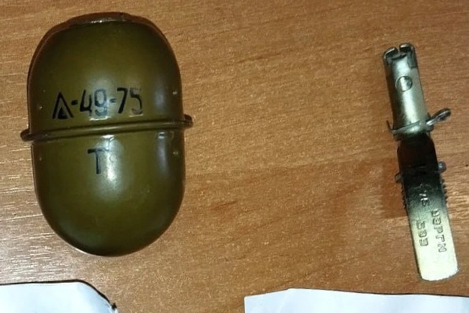 В Шахтерске задержали мужчину за незаконное хранение взрывного устройства. Фото: МВД по ДНР