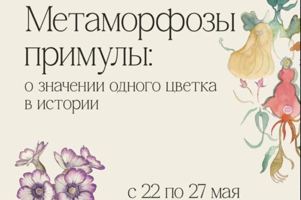 В атриуме Лахта Центра откроют первую выставку «Метаморфозы примулы»