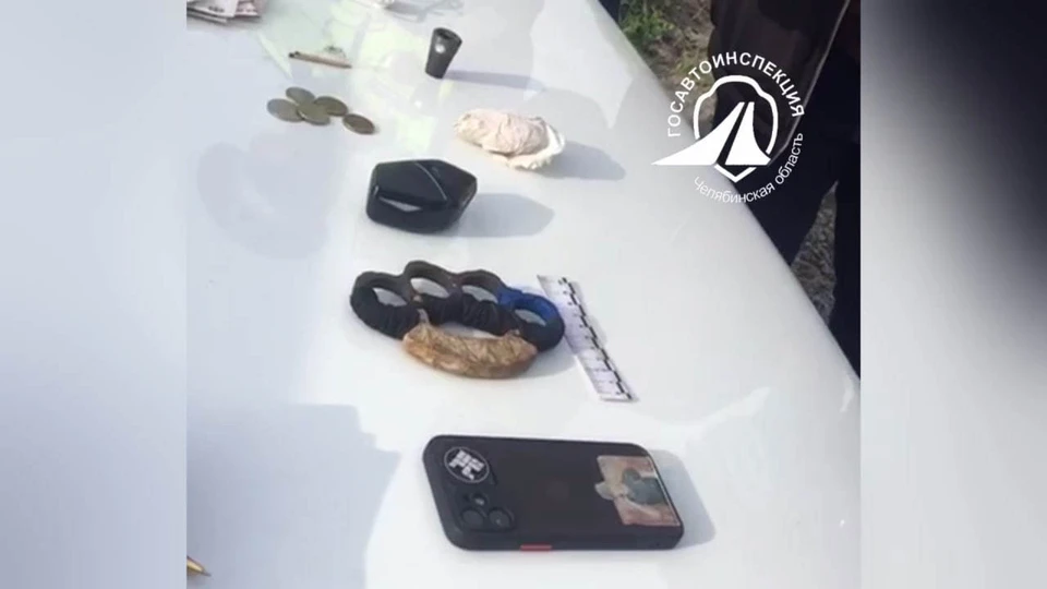 Фото: Госавтоинспекция Челябинской области.