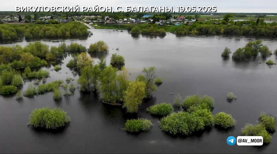 Скриншот из видео