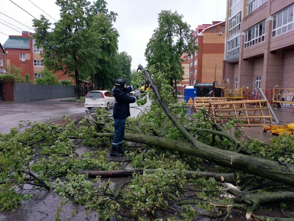 В Ульяновске сильный ливень затопил улицы и повалил деревья | ФОТО: администрация Ульяновска