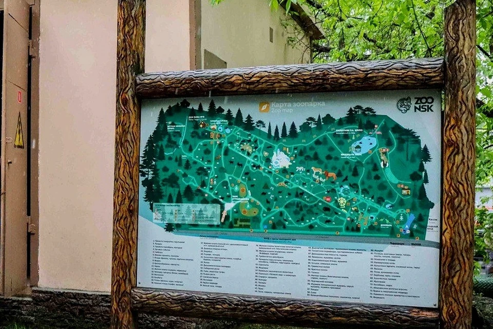 В Новосибирском зоопарке модернизировали почти полкилометра электросетей. Фото: АО «РЭС»