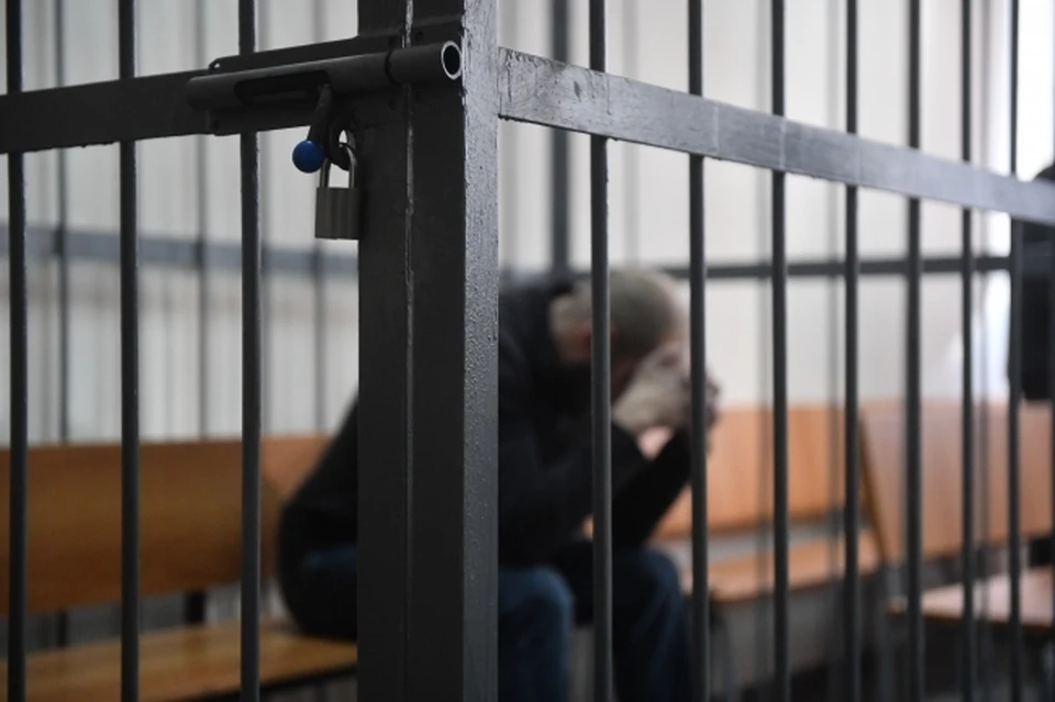 Житель ЕАО осужден на 12 лет за госизмену