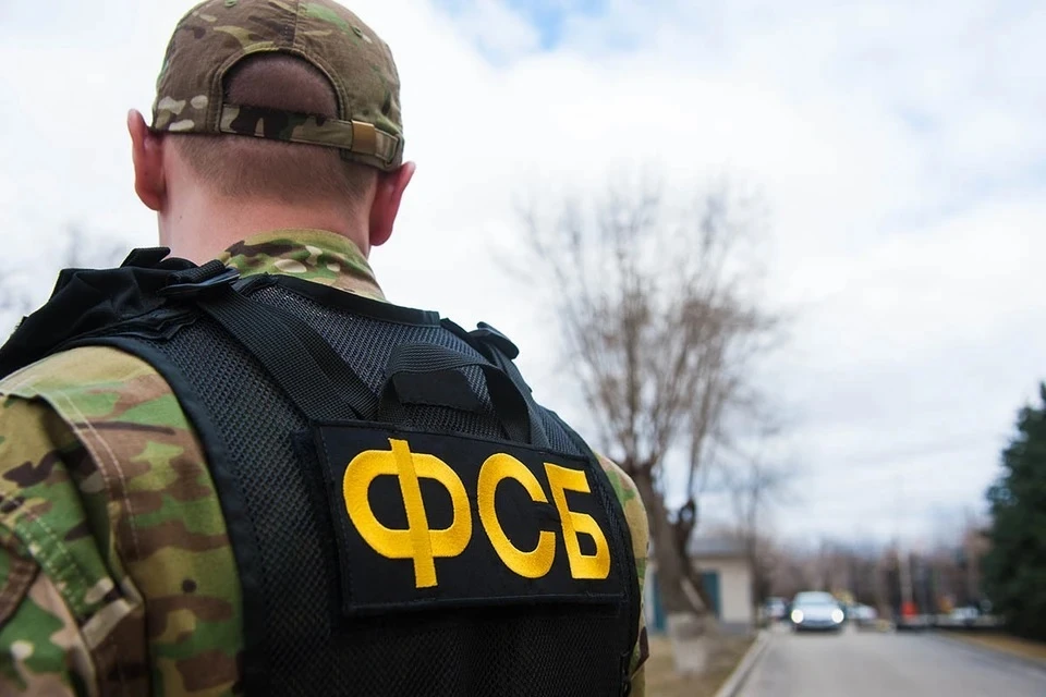 ФСБ задержала двух подростков, пытавшихся поджечь здание Минобороны под Тверью