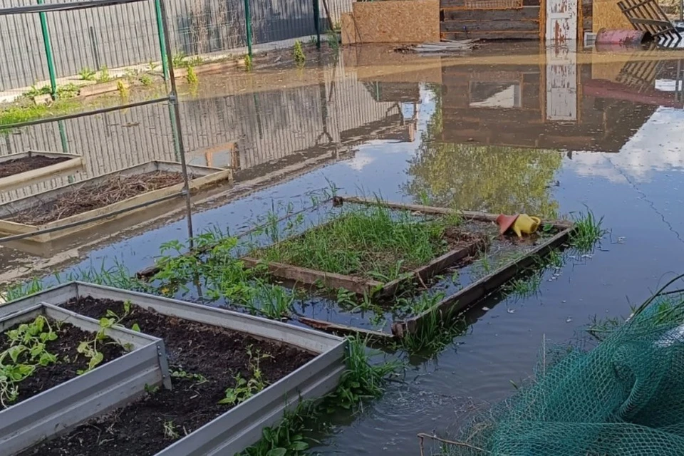 У местных жителей затопило подвалы. Фото: предоставил очевидец.